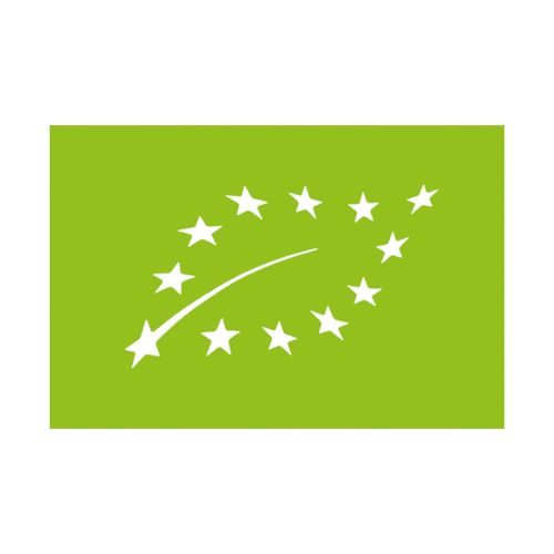Origanic Logo